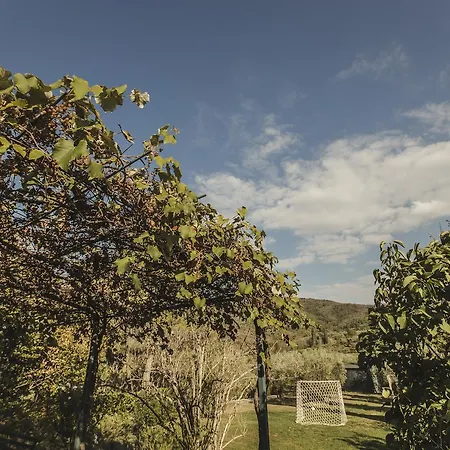 La Veronica Exclusive Chianti Resort Greve in Chianti