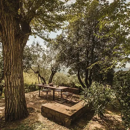 La Veronica Exclusive Chianti